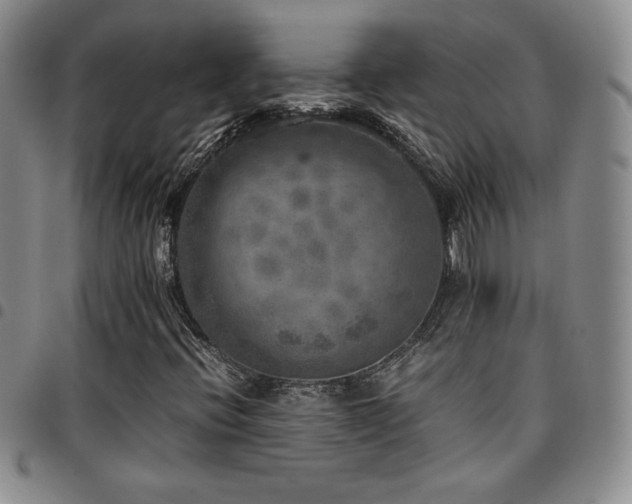 X0000097861396200803141228