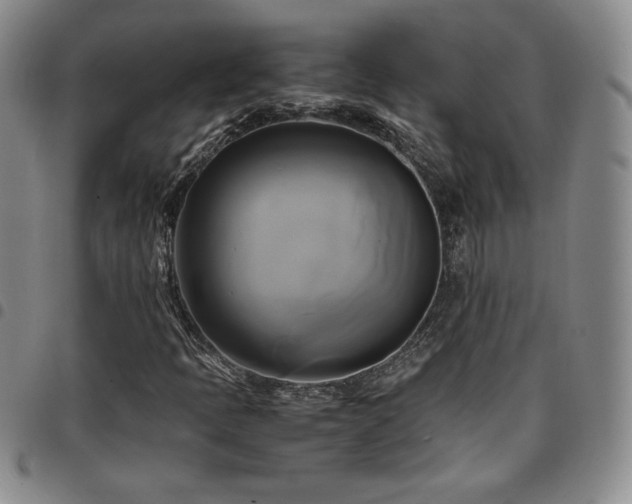 X0000097861397200803141228