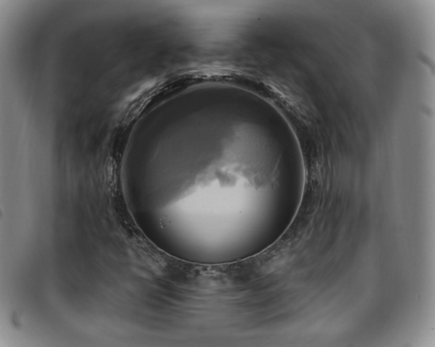 X0000097861398200803141228