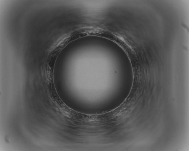 X0000097861399200803141228