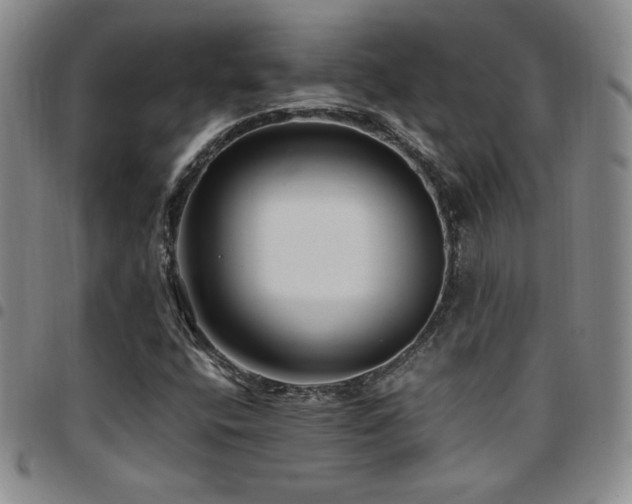 X0000097861400200803141228