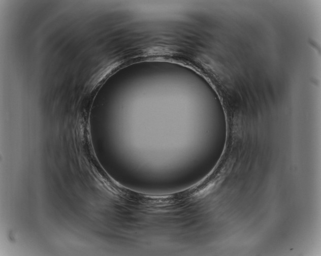 X0000097861401200803141228