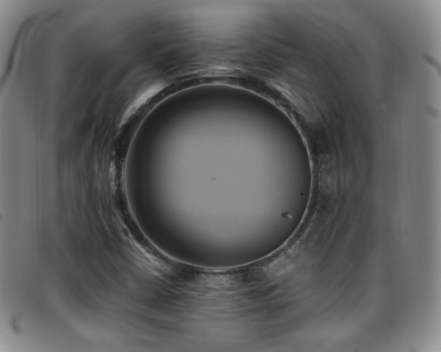 X0000097861402200803141228