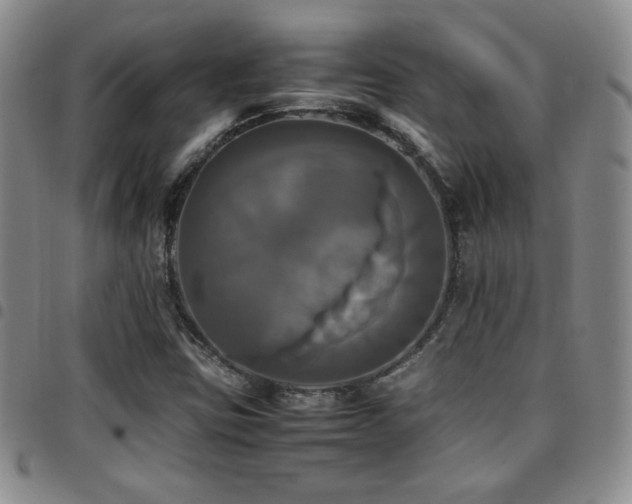 X0000097861403200803141228