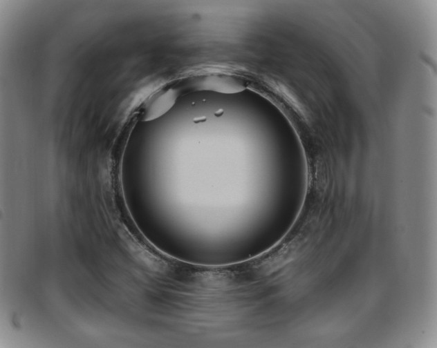 X0000097861404200803141228