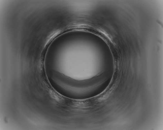 X0000097861405200803141228