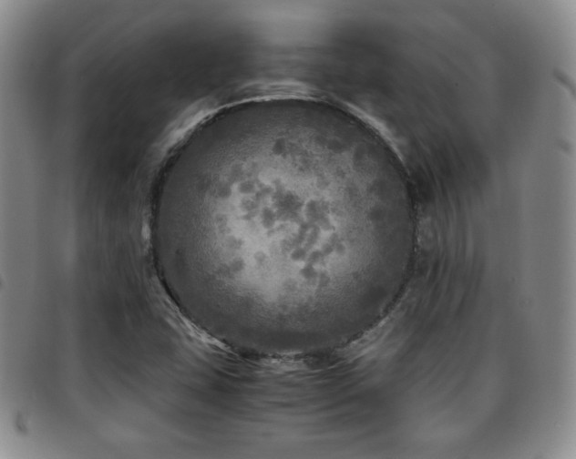 X0000097861407200803141228
