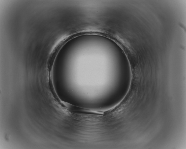 X0000097861408200803141228