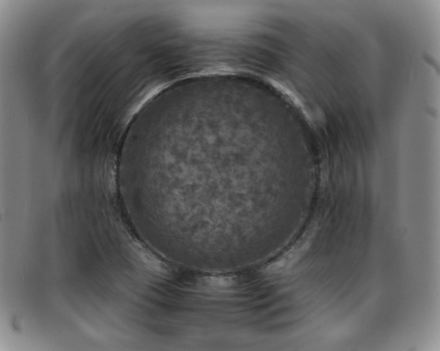 X0000097861409200803141228