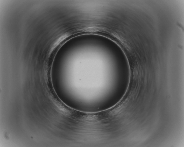 X0000097861410200803141228