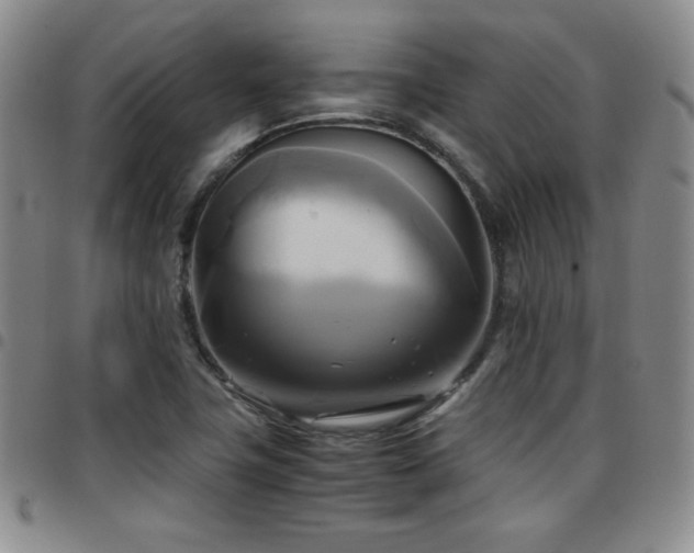 X0000097861411200803141228