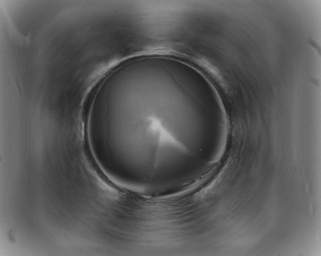 X0000097861414200803141229