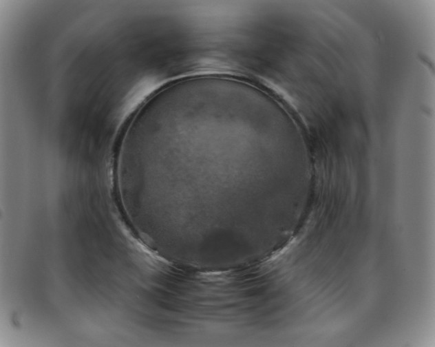 X0000097861415200803141229