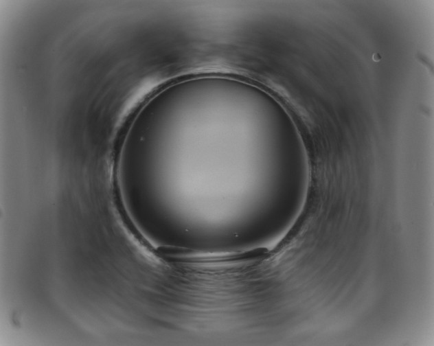 X0000097861416200803141229