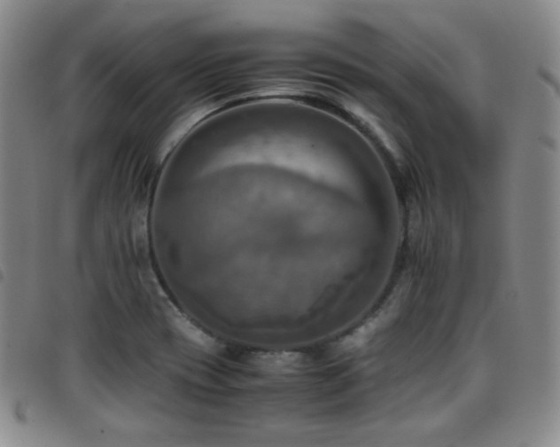 X0000097861417200803141229