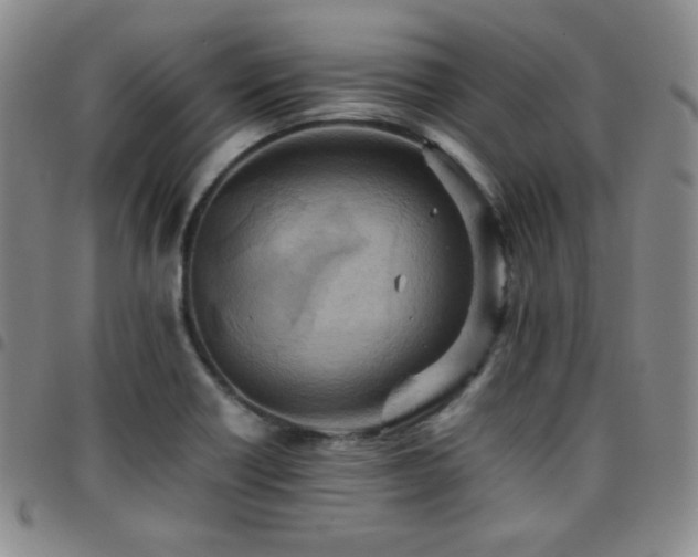 X0000097861418200803141229