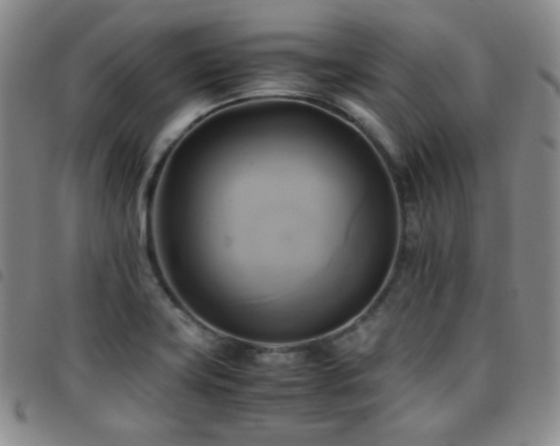 X0000097861419200803141229