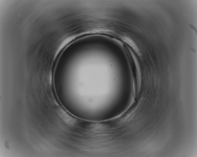X0000097861420200803141229