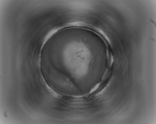 X0000097861421200803141229