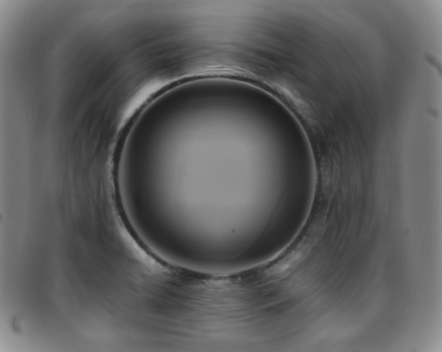 X0000097861422200803141229