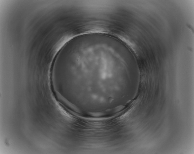 X0000097861423200803141229