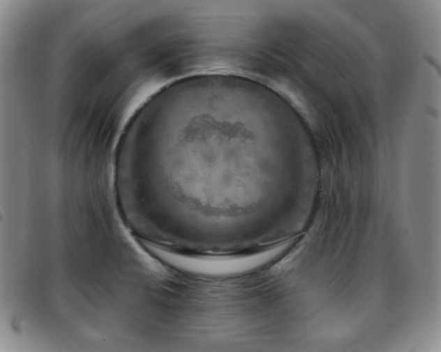 X0000097861424200803141229