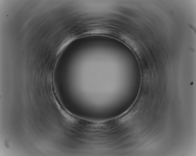 X0000097861425200803141229