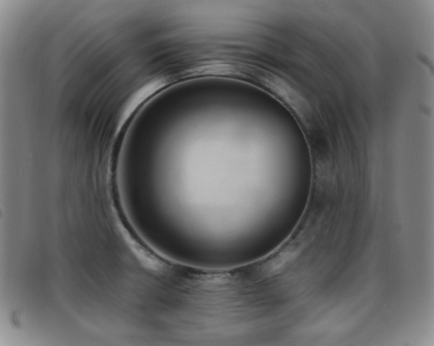 X0000097861426200803141229