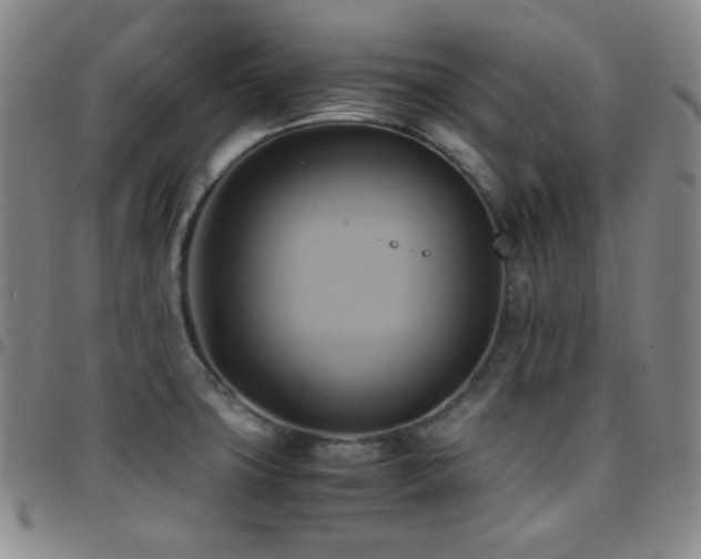 X0000097861427200803141229