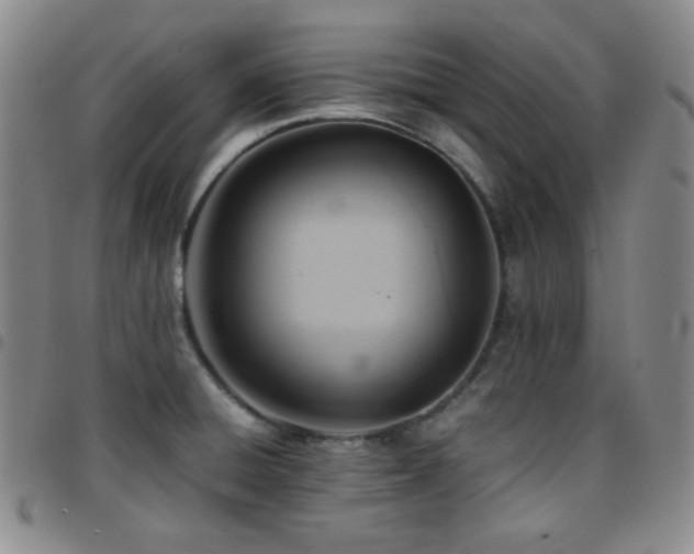 X0000097861428200803141229