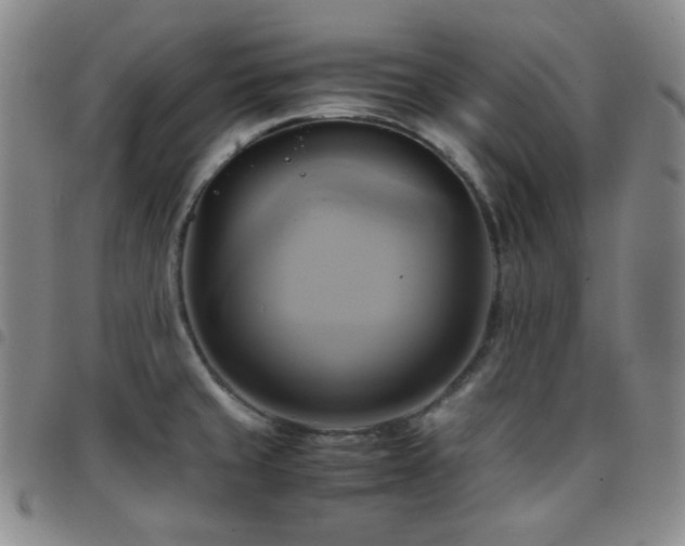 X0000097861429200803141229