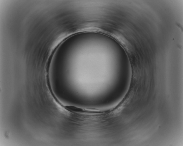 X0000097861430200803141229