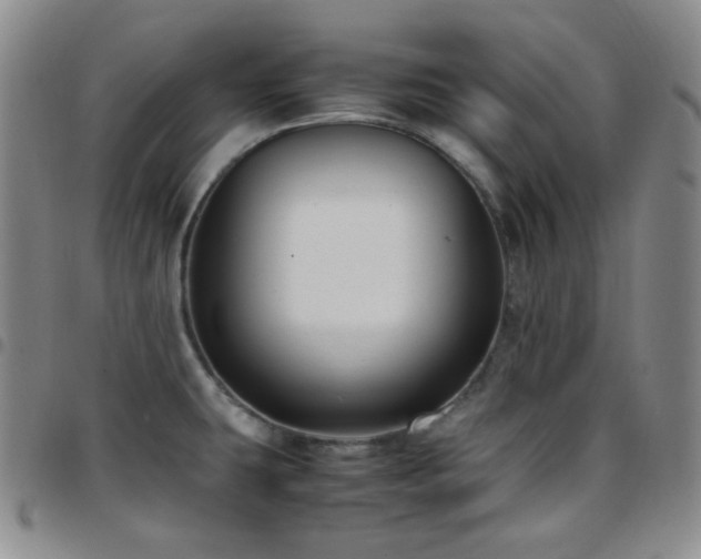 X0000097861431200803141229