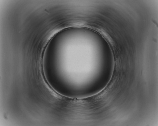 X0000097861432200803141229