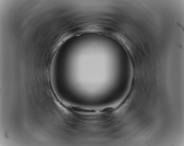 X0000097861433200803141229