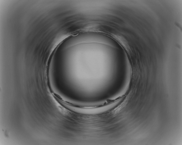 X0000097861434200803141229