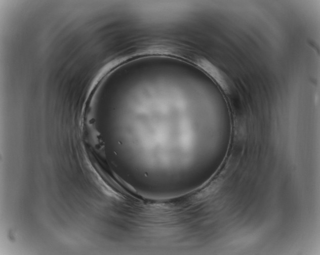 X0000097861436200803141229