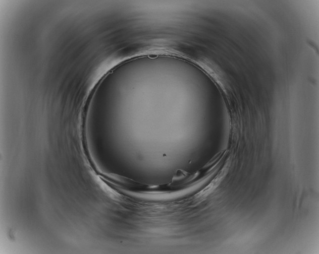 X0000097861438200803141229