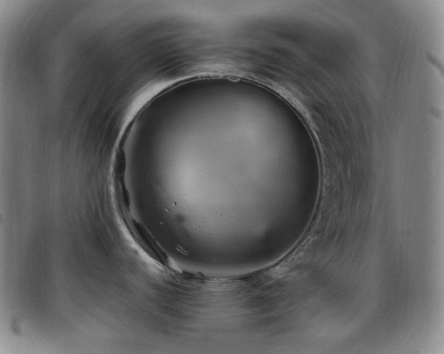 X0000097861440200803141229