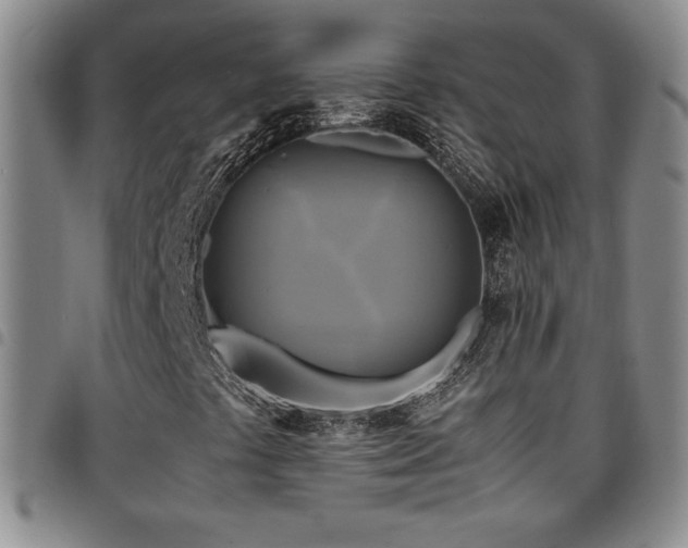 X0000097861441200803141228