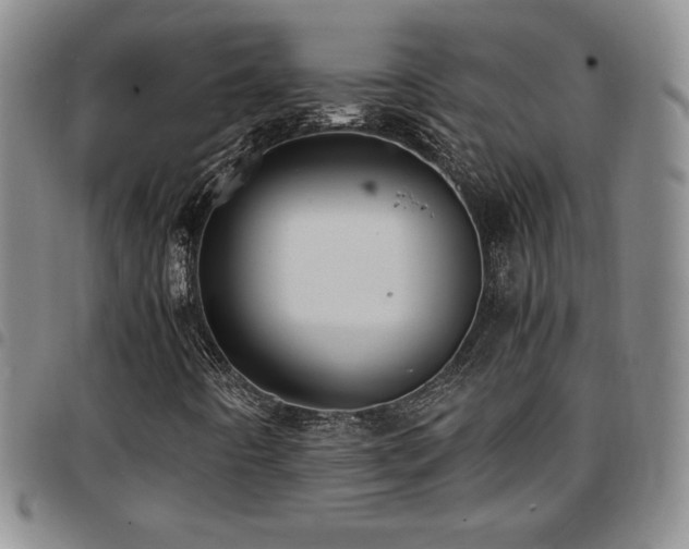 X0000097861442200803141228