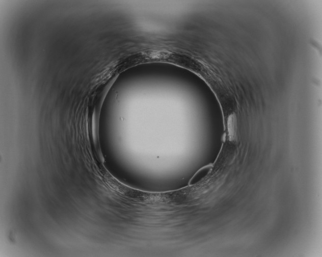 X0000097861443200803141228
