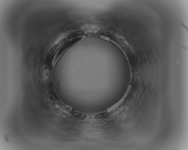 X0000097861445200803141228
