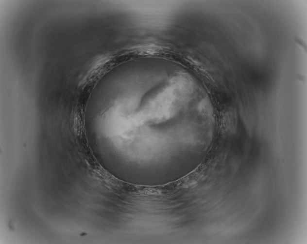 X0000097861446200803141228