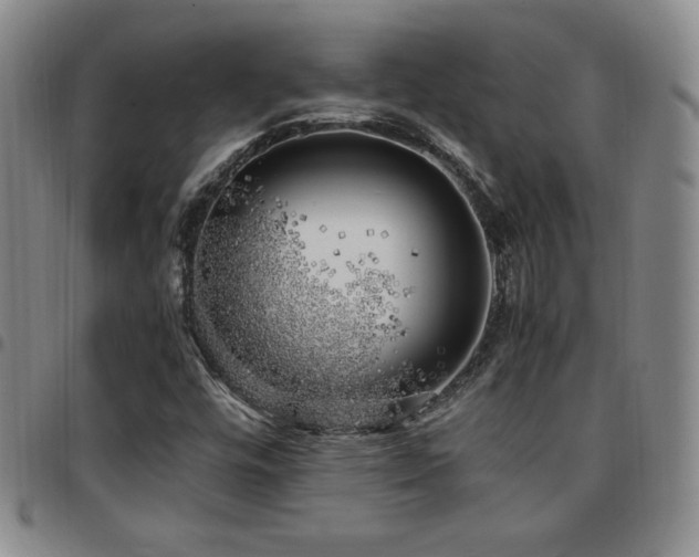 X0000097861448200803141228