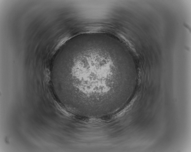 X0000097861449200803141228