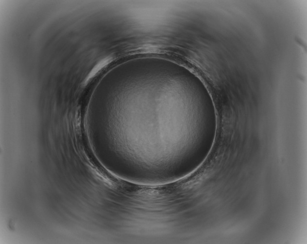 X0000097861450200803141228