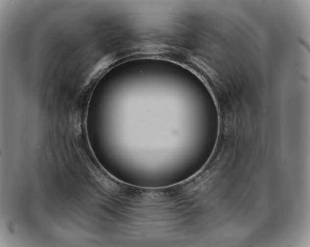 X0000097861451200803141228