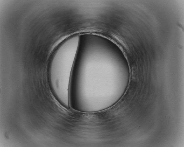 X0000097861452200803141228