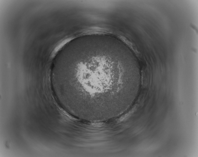 X0000097861453200803141228